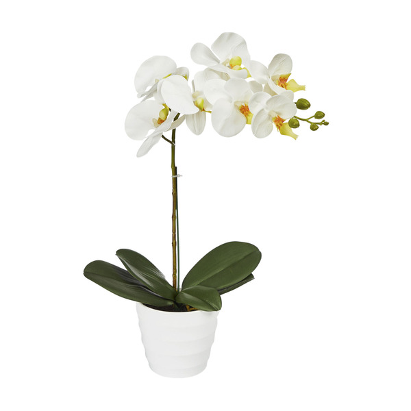 Buy 40CM FAUX WHITE ORCHID 40CM FAUX WHITE ORCHID | Coles