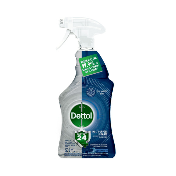 Dettol Protect 24 Hour Multipurpose Cleaning Trigger Citrus Burst