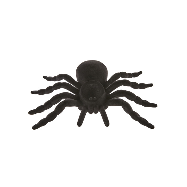 Buy HALLOWEEN FLOCKED SPIDER HALLOWEEN FLOCKED SPIDER | Coles