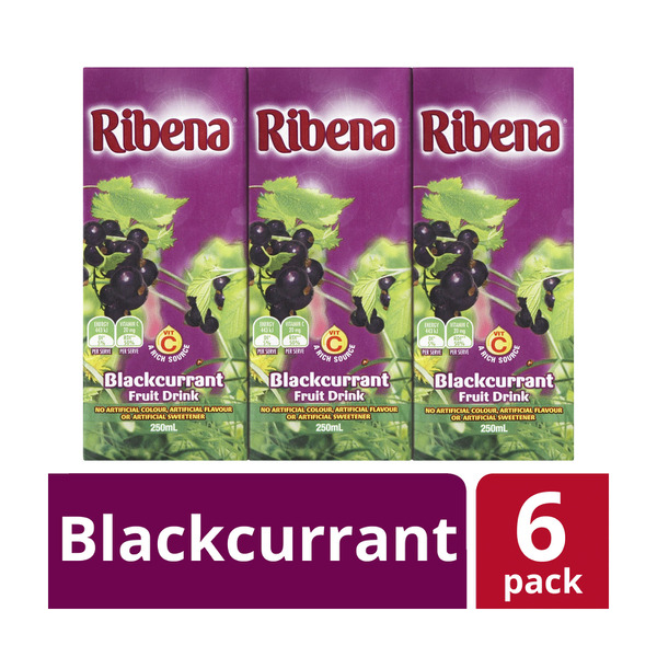 Frucor Ribena Ready To Drink Blackcurrant